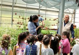 Osmangazi’de minikler serada üretimi öğrendi