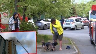 Ataşehir’de 8 katlı binanın en üst katında yangın; engelli köpek içerde mahsur kaldı