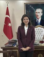 Enez Kaymakamı trafik kazasında yaralandı (2)