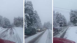 Bolu Dağı'nda kar yağışı; devrilen ağaçlar yolu kapattı