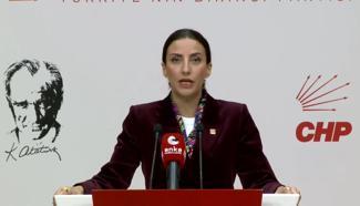 CHP'li Rızvanoğlu: Bu ülkenin ormanları sahipsiz değil