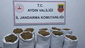Kuşadası'nda uyuşturucu operasyonu: 2 gözaltı