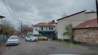 Kurdukları dernekle ev kiralayıp, sokak kedilerine yuva oldular