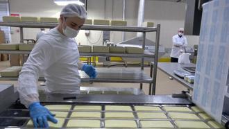 Erzincan'da günlük 45 ton kapasiteli süt fabrikası çiftçiye gelir sağlıyor