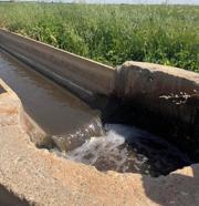 Ellerini yıkamak isterken kanal düşen 2 kardeş, hastanede tedaviye alındı