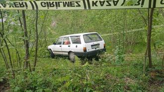 Fındık bahçesine giren otomobilin sürücüsü öldü