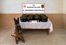 Jandarmadan uyuşturucu operasyonu