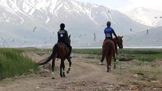 Van'da atlı, araçlı ve dron destekli inci kefali denetimi