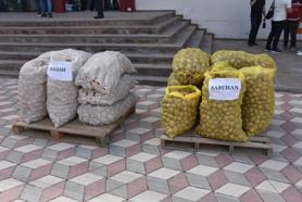 Üreticilere 60 ton yerli patates tohumu dağıtıldı