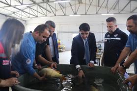 Edirne’de sazan balığı yavrusu üretimine başlandı