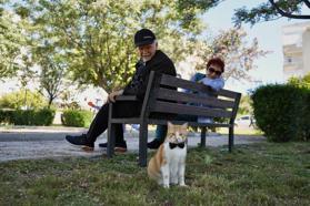Papyonlu kedi 'Foça', emekli çiftin hayatını değiştirdi