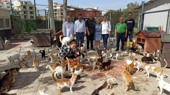 HBB Kedi Bakım ve Rehabilitasyon Merkezi bakıma muhtaç kedilere umut oldu