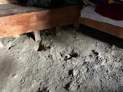 Düzgün Baba Ziyaretgahı’ndaki tahribat soruşturmasında 4 gözaltı