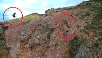 Kartal, ayı ve yavrularını takip etti; o anlar dronla görüntülendi