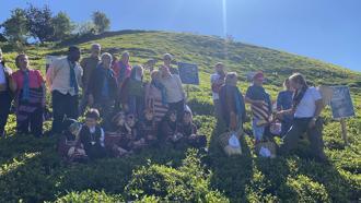 Rize’de çay hasadı şenlikle karşılandı