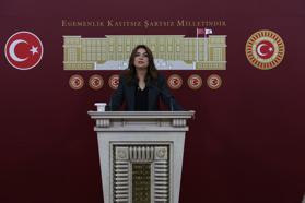 DEM Parti'li Koçyiğit: Barışın hukuka ihtiyacı var
