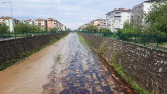 Kastamonu'da dereye kimyasal atık karıştı