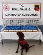 Bolu’da kaçak makaron operasyonu: 2 gözaltı