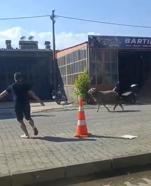 Sahibinin elinden kaçan kurbanlık koç, zor anlar yaşattı