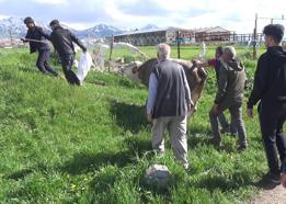 Kurban keserken kalp krizi geçirip öldü
