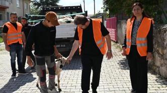 Emirdağ’da 98 aileye kurbanlık verildi