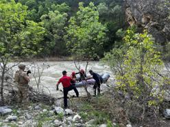 Pülümür Çayı’nda ağaçta mahsur kaldı, ekipler kurtardı