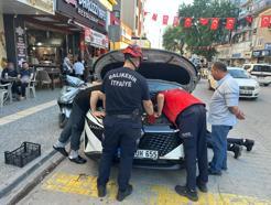 Kaputa saklanan yavru kedi, itfaiyeyi ekibini peşinden koşturdu