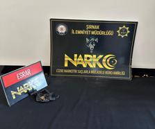 Şırnak’ta, polisin düzenlediği kaçakçılık operasyonlarında 38 gözaltı