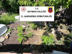 Batman’da kaçakçılık operasyonlarında 20 şüpheliye işlem
