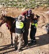 Süt sağarken rahatsızlanan kadın, katırla ambulansa ulaştırıldı