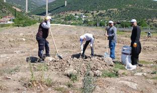 Gaziantep'te üniversite öğrencileri fidan dikti
