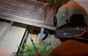 Hatay'da evin bahçesine giren yılan, doğaya salındı