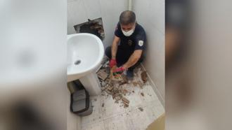 İki bina arasında sıkışan kedi kurtarıldı