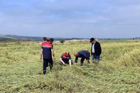Edirne’de, doludan etkilenen tarlalarda inceleme