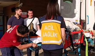 Kiraz toplamak için çıktığı ağaçtan düşüp, ağır yaralandı