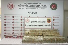 Şırnak'ta kaçakçılık ve narkotik operasyonları: 104 gözaltı