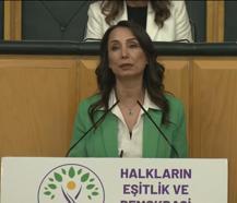 DEM Parti'li Hatimoğulları: Çerçeve yasa AKP ile görüşülmüştür