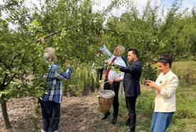 Sapanca Kastarcı Eriği için coğrafi işaret çalışması