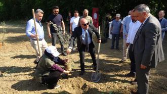Marmarabirlik’ten mesleki eğitime anlamlı destek; bin 160 zeytin fidanı toprakla buluştu