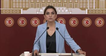 DEM Parti'li Koçyiğit: Barışın hukuksal bir güvenceye ihtiyacı var