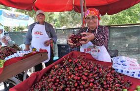 Bornova'da Kiraz Festivali 14 Haziran'da düzenlenecek