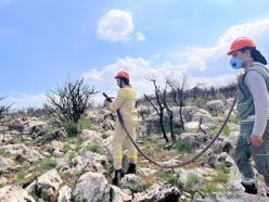 Silifke'de orman yangını tatbikatı