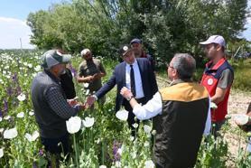 Kaymakam Türker haşhaş tarlasında