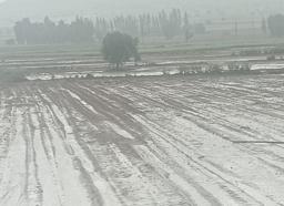 Kayseri’de sağanak ve dolu ekili alanlara zarar verdi