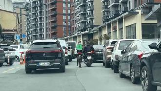 Seyrantepe’de motosiklete bağladığı köpeği metrelerce koşturdu: 8 bin 678 lira ceza kesildi