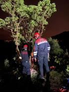 Sarp arazisinde mahsur kalan kişi için itfaiye ve AFAD’dan kurtarma operasyonu