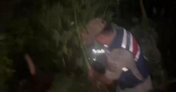 Hatay’da 148 kök Hint keneviri ele geçirildi