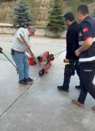 Fabrikaya giren yılan itfaiye ekipleri tarafından yakalanarak doğaya bırakıldı