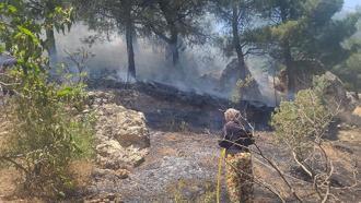 Kahramanmaraş’ta orman yangını söndürüldü
