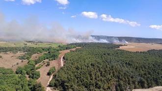 Çanakkale'de orman yangını